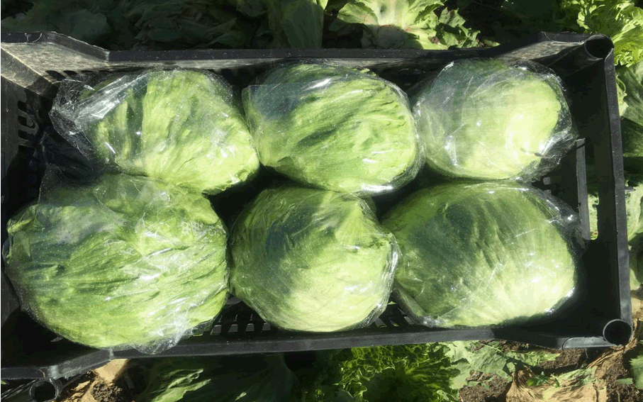 p-d-slider