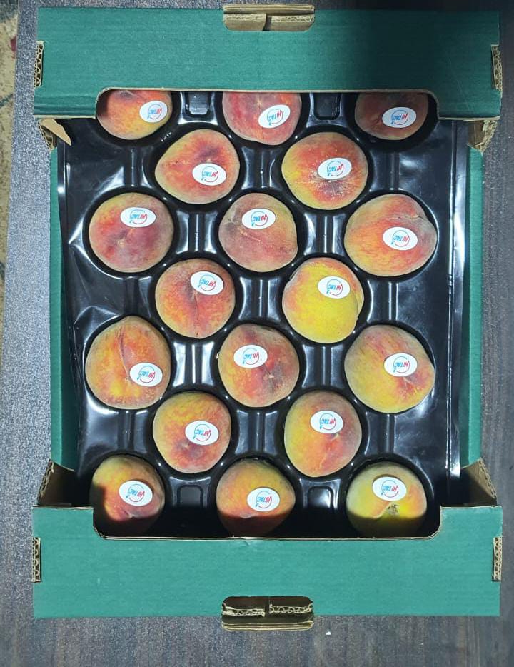 p-d-slider