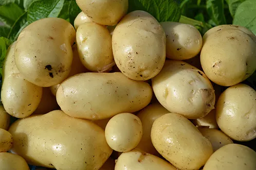 p-d-slider